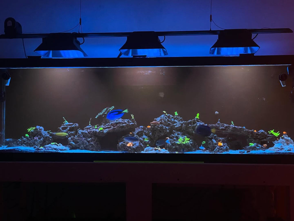Ecotech Marine Radion XR15 G3, G4, G5 & G6 PRO Light Shade
