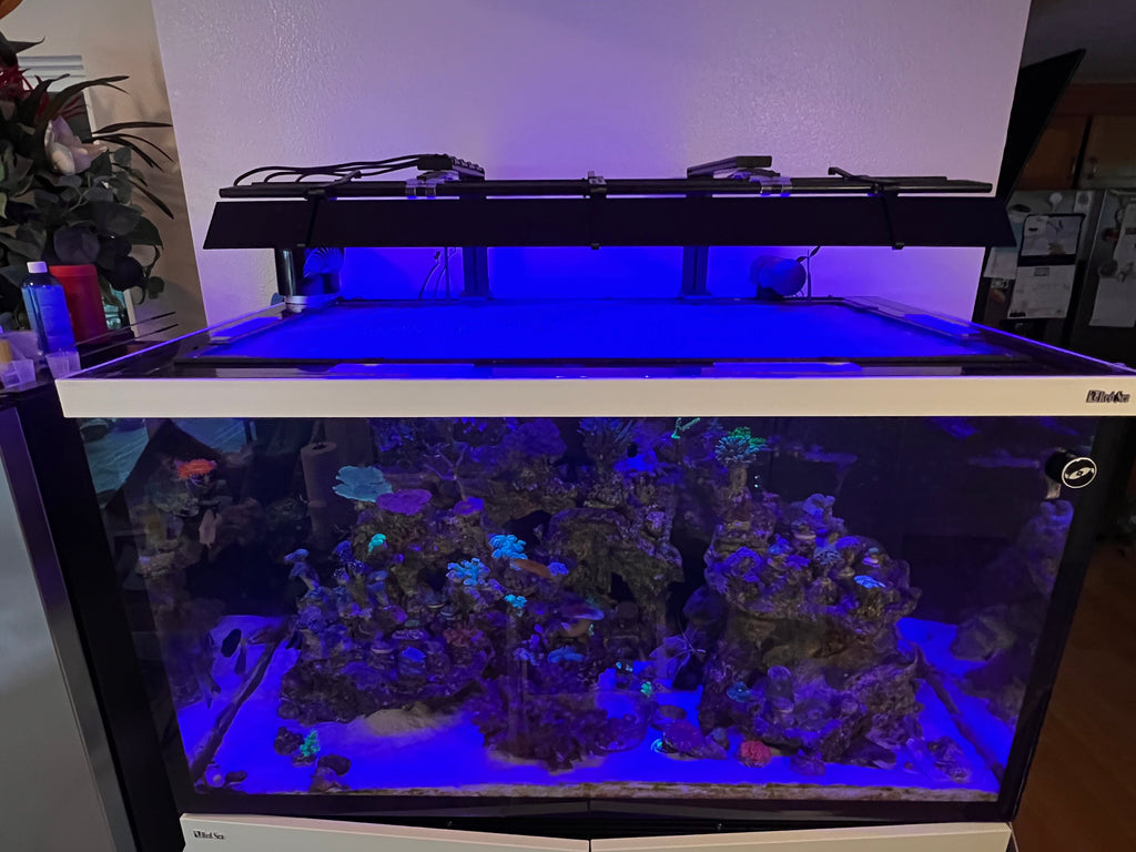 AquaIllumination Blade Light Shade Set of 2 (Coral Grow, Glow, Freshwater, Refugium)